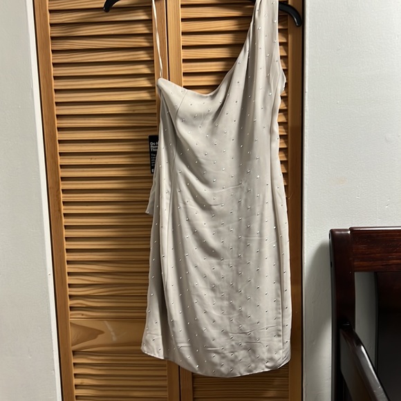 Express Dress - Picture 5 of 5